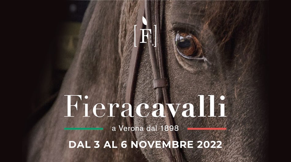 Fieracavalli Horse Show in Verona - Italy