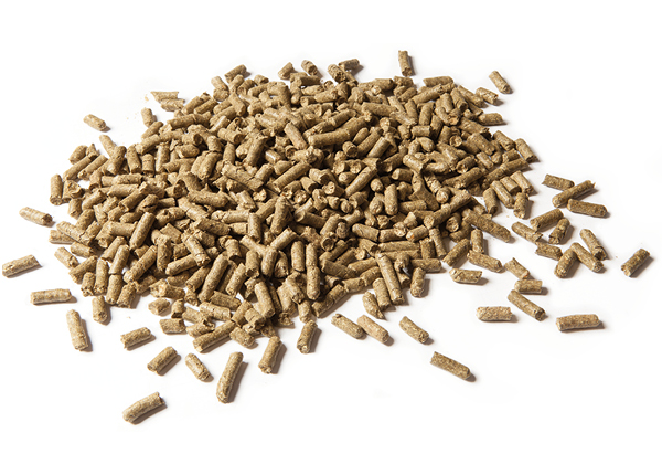 Pellet_AlfalfaFiber